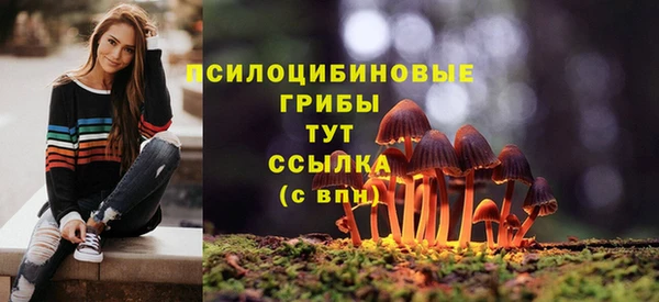 гашишное масло Богданович