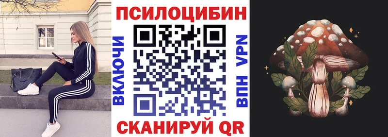 где продают   Катав-Ивановск  Галлюциногенные грибы Psilocybe 